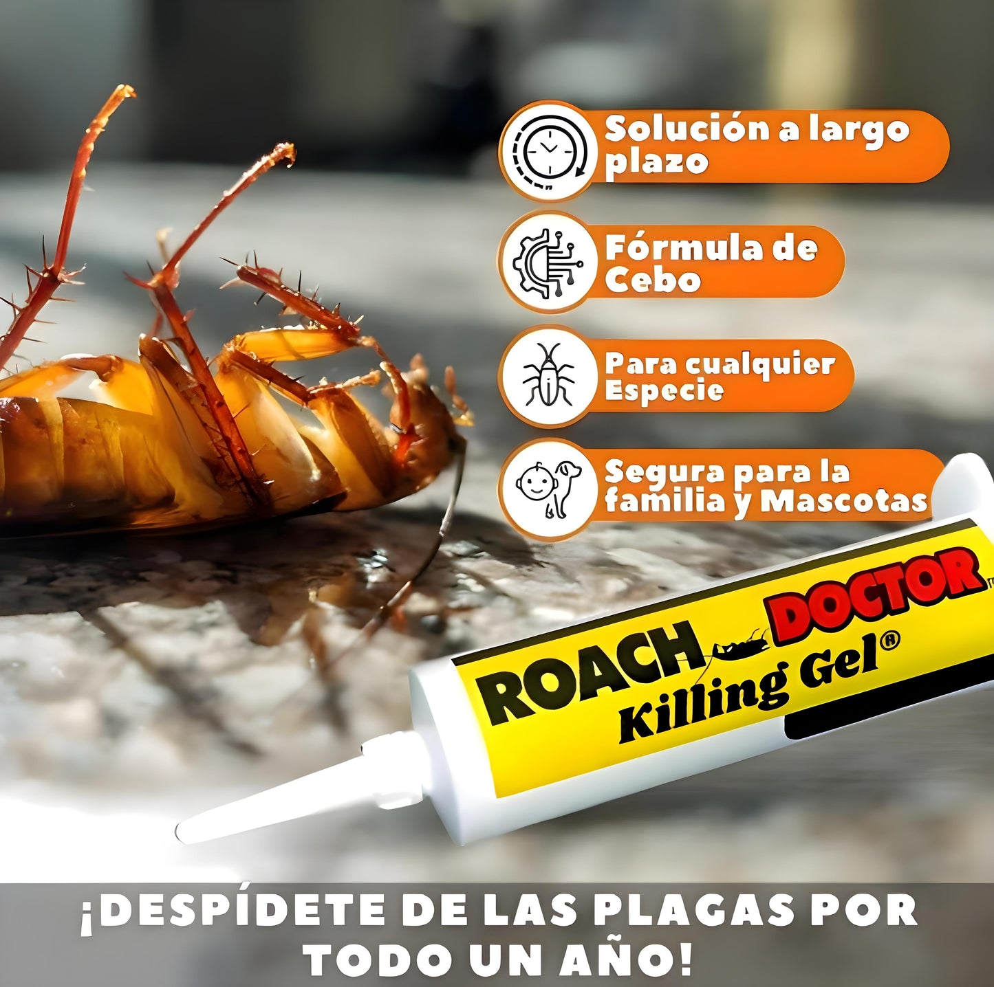 Roach Doctor Mata-Cucarachas 30 Gramos